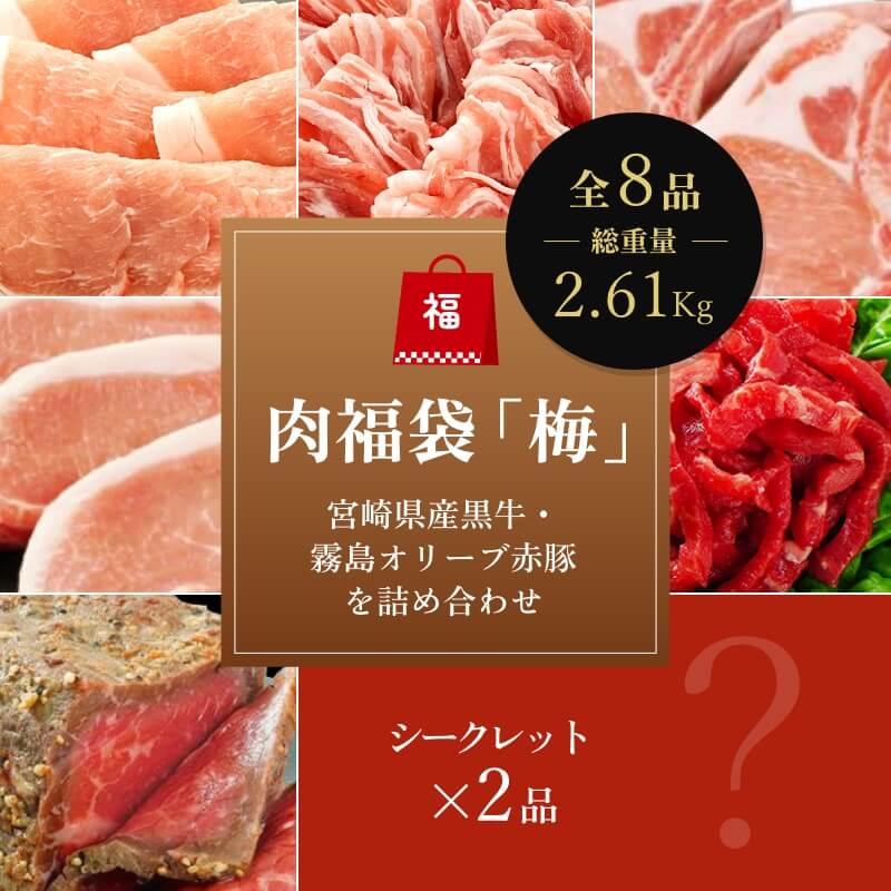 肉福袋「梅」