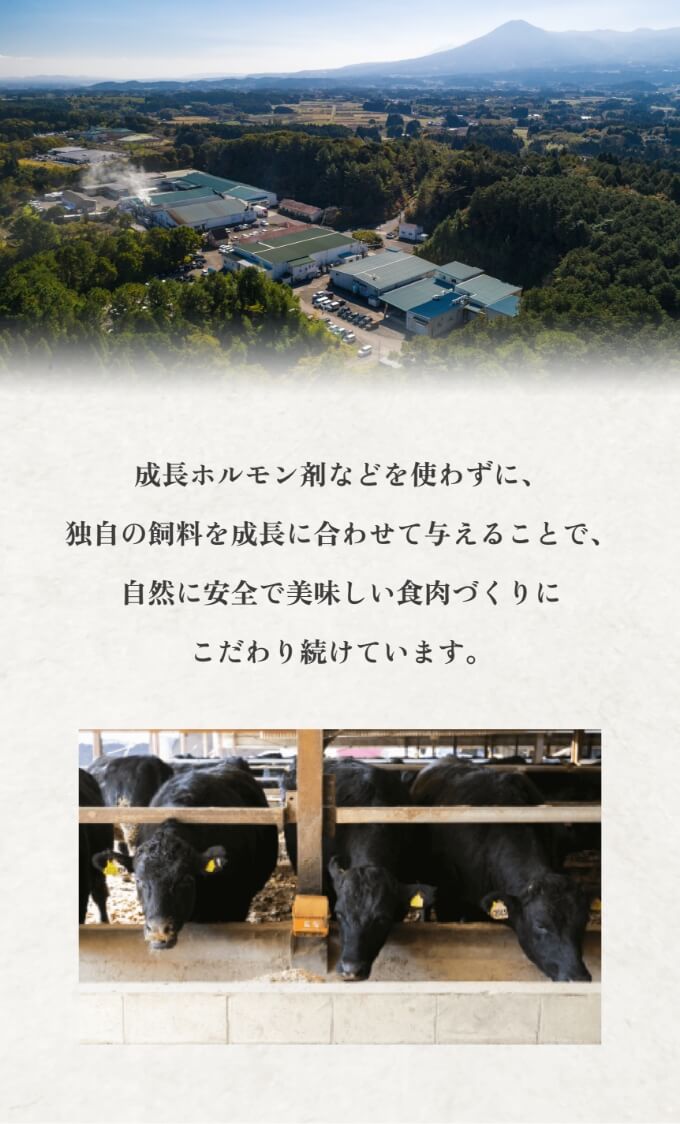 ローストビーフ