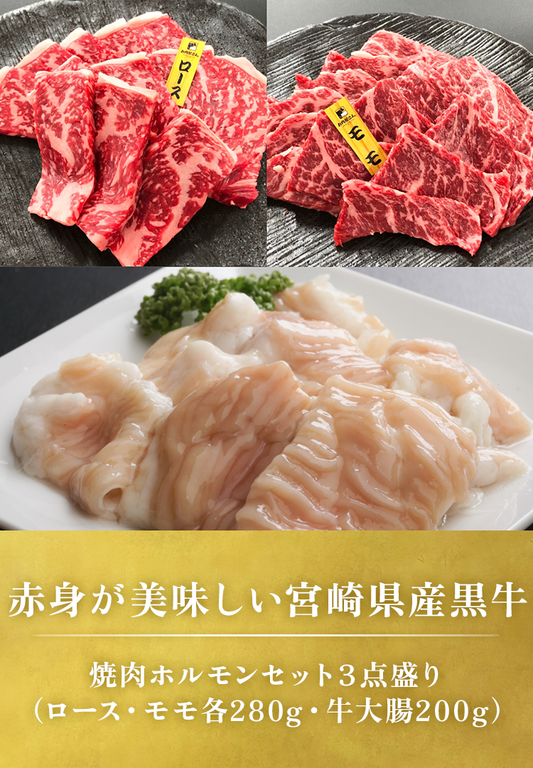 焼肉ホルモンセット3点盛り