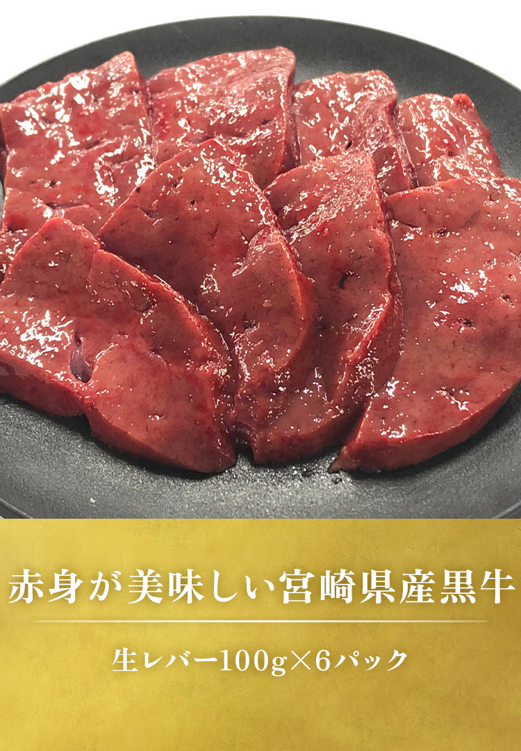 生レバー100gx6パック