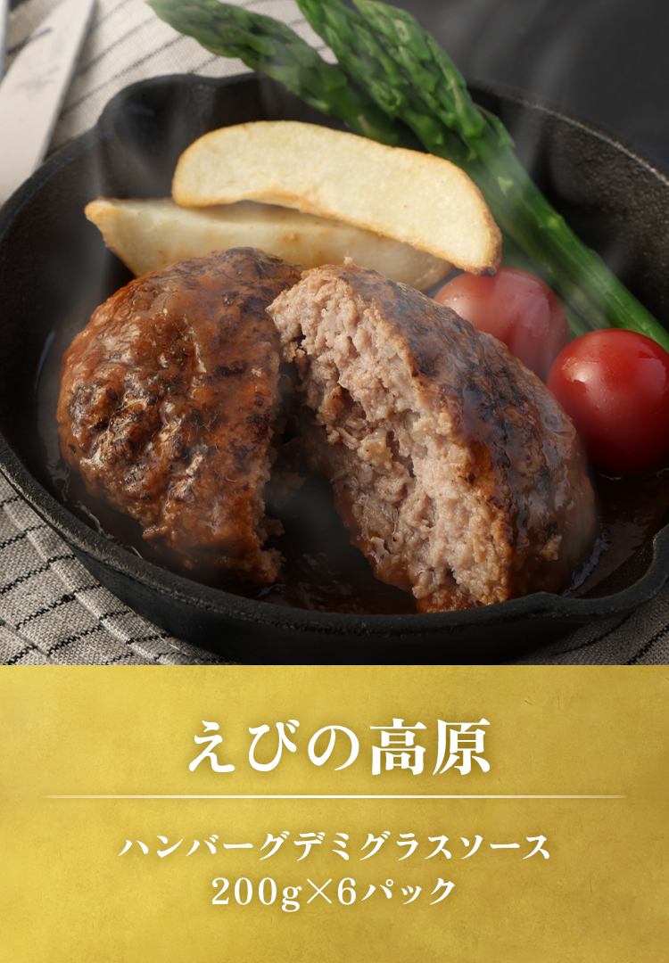 ハンバーグデミグラスソース200gx6パック