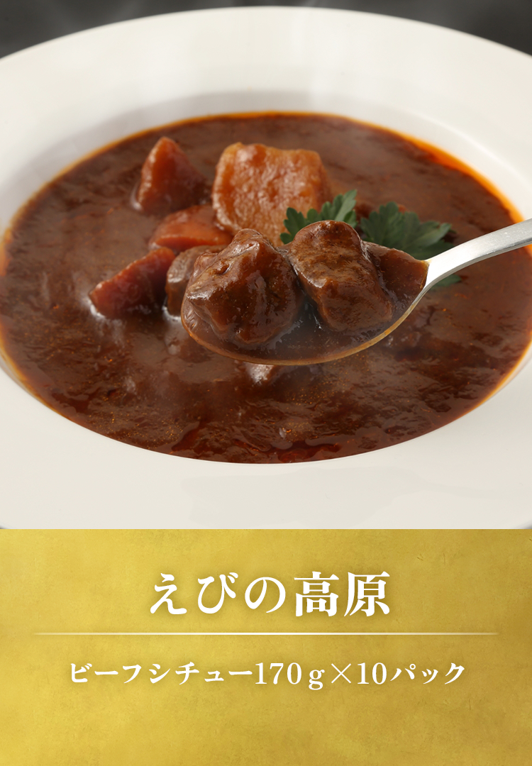 ビーフシチュー170gx10パック