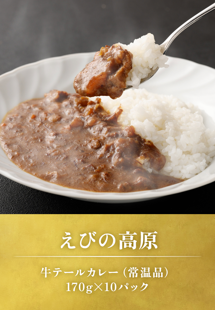 牛テールカレー（常温品）170gx10パック