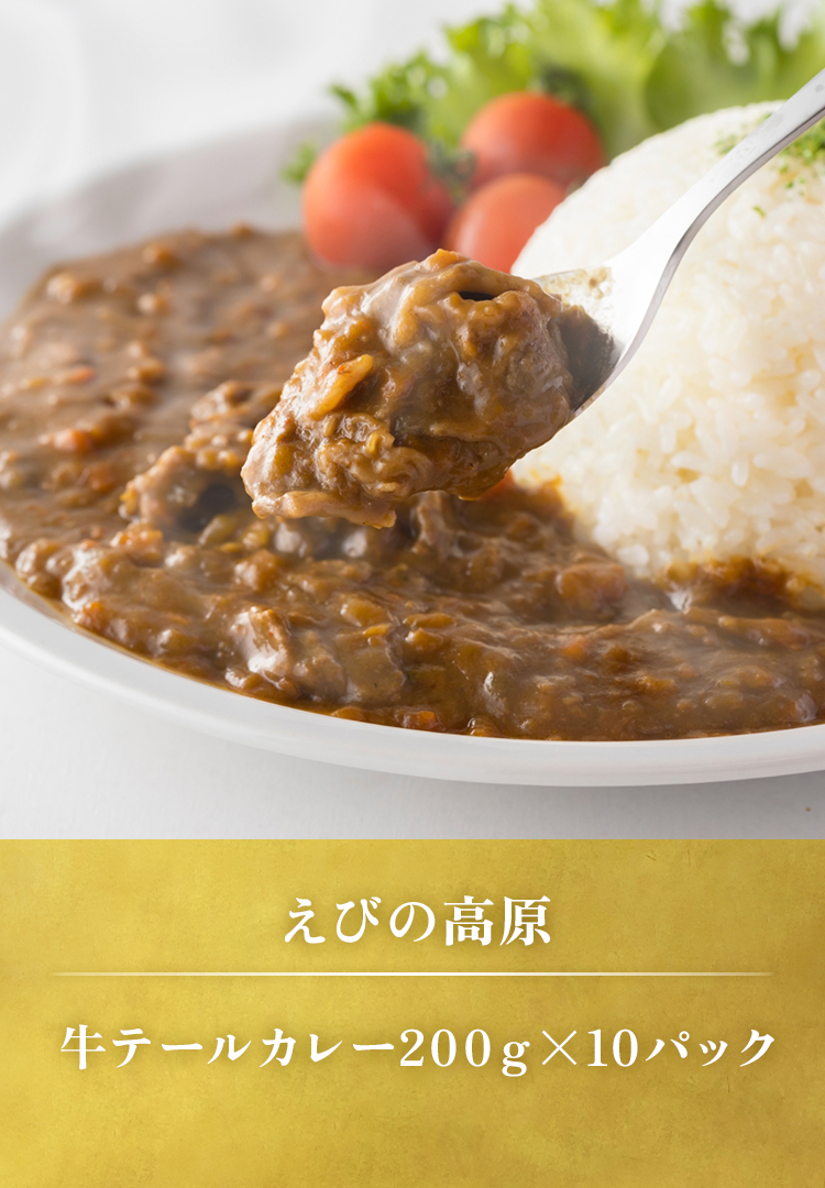 えびの高原 牛テールカレー200gx10パック