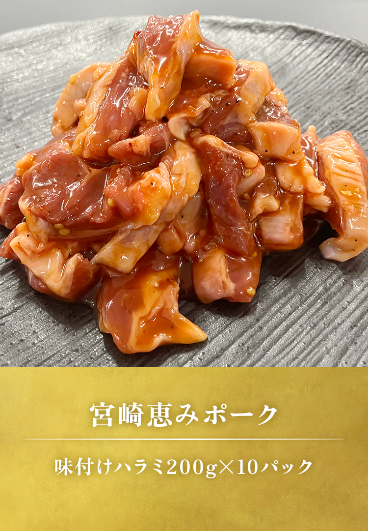 味付きハラミ200gｘ6パック
