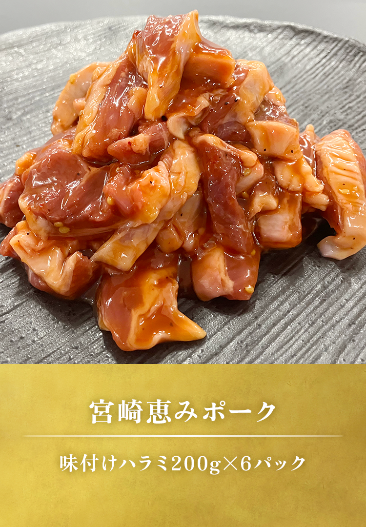味付きハラミ200gｘ6パック