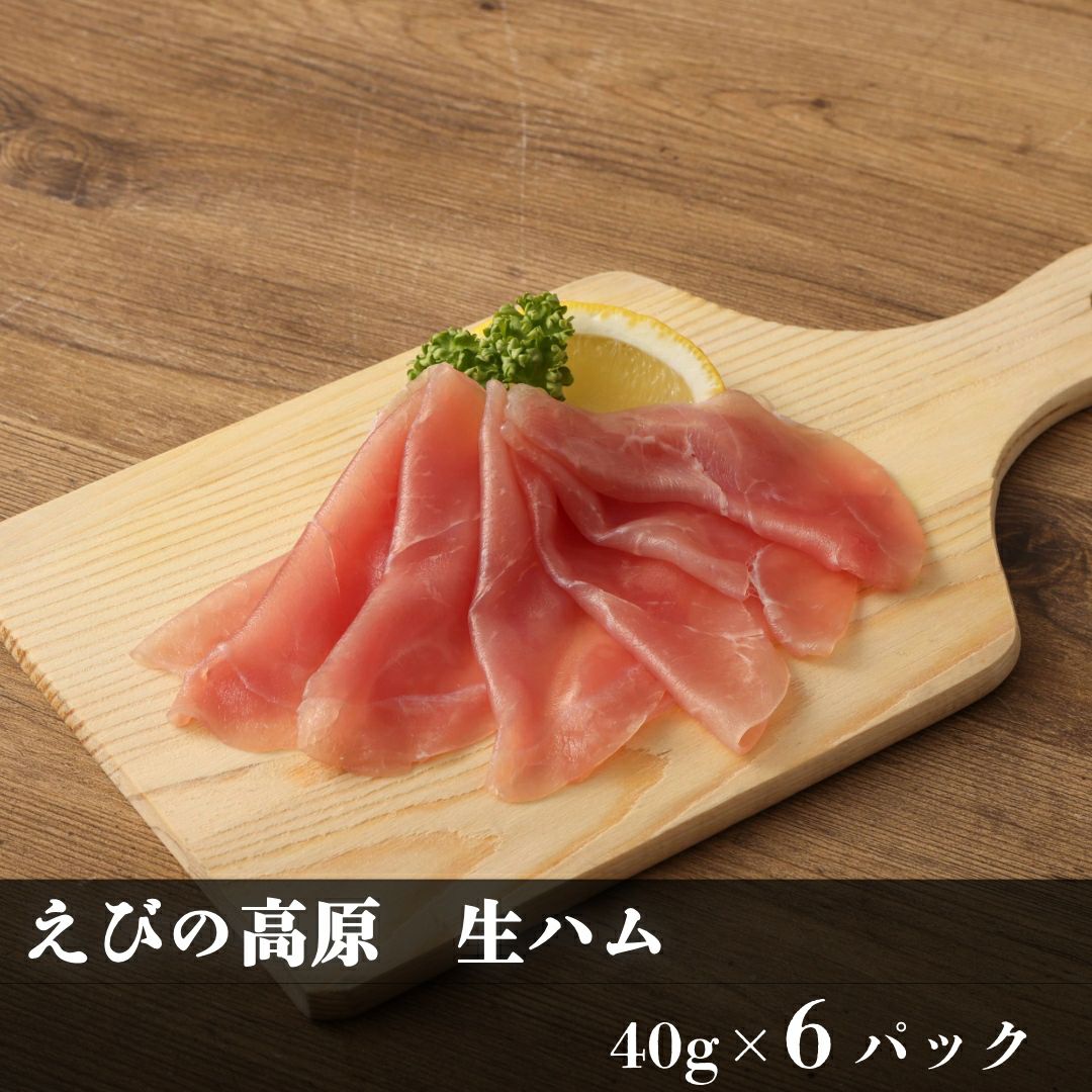ハムページ えびの高原 生ハム40gx6パック