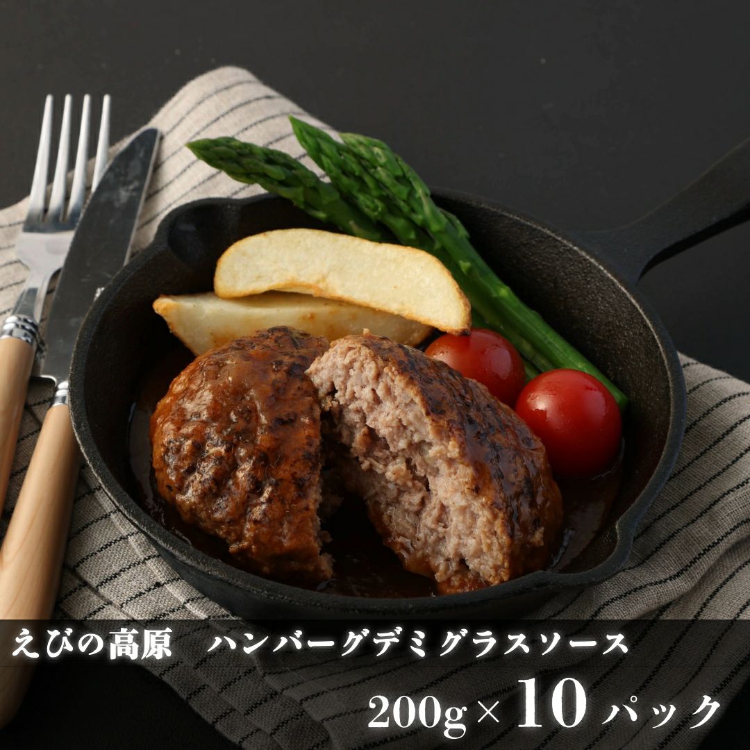 えびの高原 ハンバーグデミグラスソース200gx6パック えびの高原 ハンバーグデミグラスソース200gx6パック